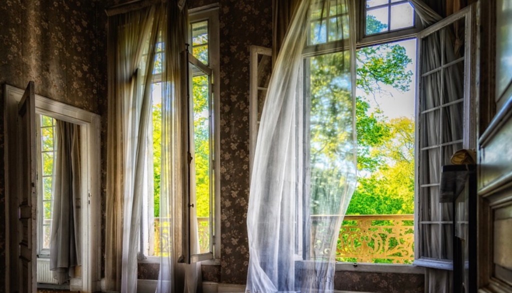 El vuelo de&nbsp;Amelia