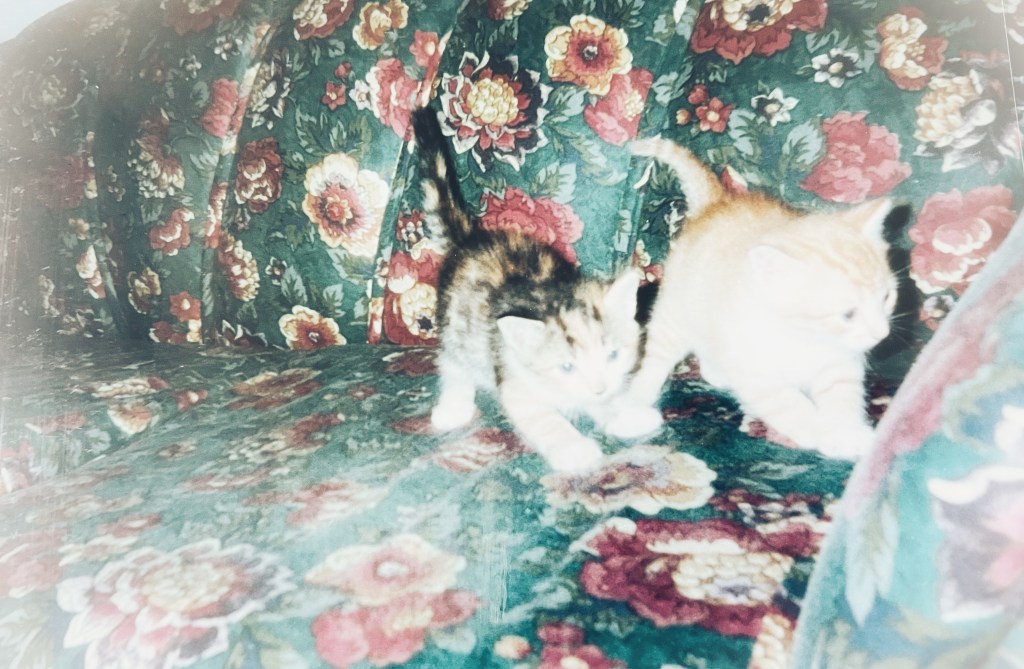 Cuando la realidad supera la&nbsp;ficción