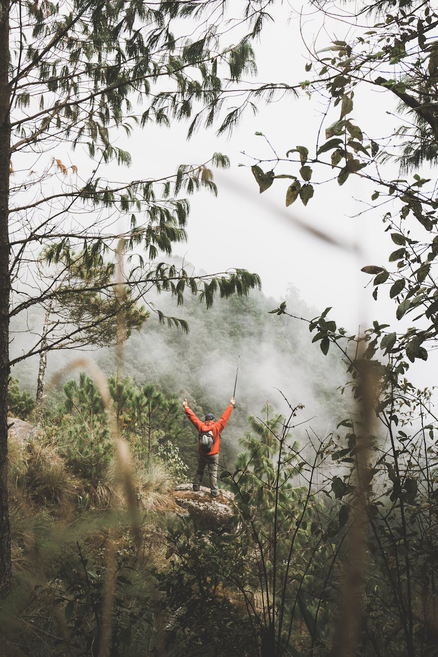 El cofre  by Mar&nbsp;Bayona